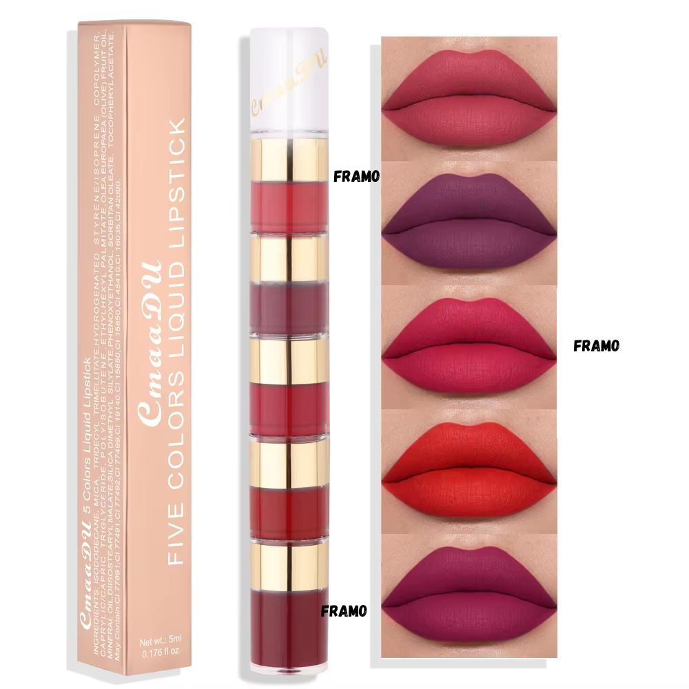 Rouge à lèvre 5 en 1