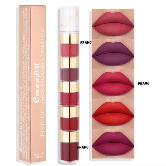 Rouge à lèvre 5 en 1